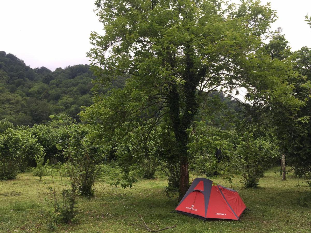 Dumbo Eco Camp Ozurget'i Exterior foto
